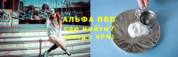 прущие грибы Саяногорск
