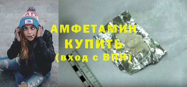 прущие грибы Саяногорск