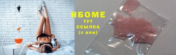 прущие грибы Саяногорск