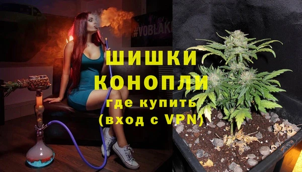 ПСИЛОЦИБИНОВЫЕ ГРИБЫ Сатка