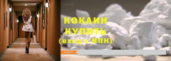 прущие грибы Саяногорск