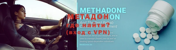 прущие грибы Саяногорск