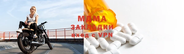 прущие грибы Саяногорск