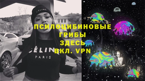 ПСИЛОЦИБИНОВЫЕ ГРИБЫ Сатка