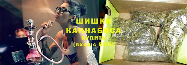 прущие грибы Саяногорск