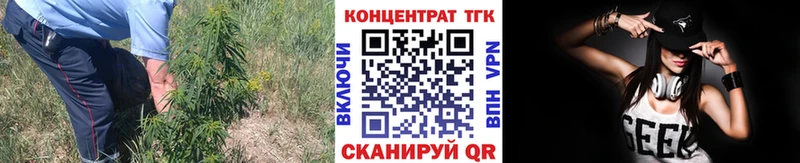 мега   Чкаловск  Дистиллят ТГК вейп с тгк  как найти наркотики 