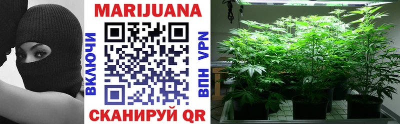 что такое   Чкаловск  Канабис OG Kush 